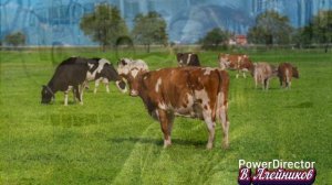 Как хорошо мы плохо жили...