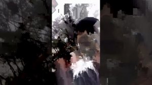 иду в школу