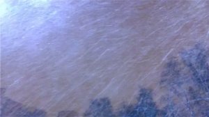 Р. Киселев Экспромт "Первый снег".