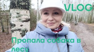 VLOG ✅ ЧТО НА ЗАВТРАК/ КРАСОТА ПРИРОДЫ/ ПРОПАЛА СОБАКА В ЛЕСУ
