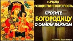 В Рождественский Пост просите Богородицу о самом важном пред иконой _Благоуханный цвет_