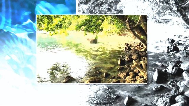 Skin Diver-Condemned to Happiness 2