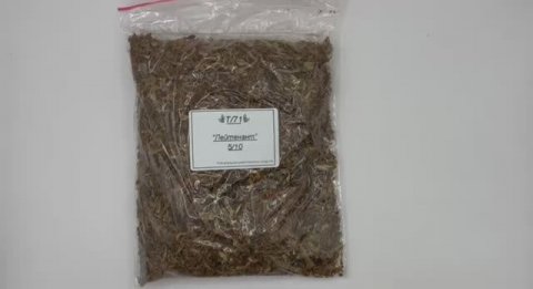 Бленд "Лейтенант"