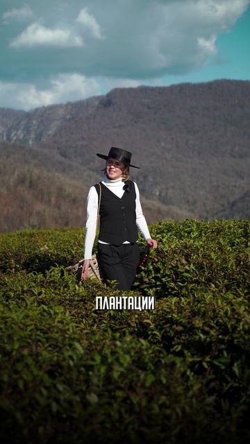 ВЫ НЕ ПОВЕРИТЕ, ЭТО ХОСТА #хоста сочи #сочи #риэлтор сочи #жить в сочи #локации сочи #хоста чай