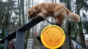 Невероятный голден: безупречная работа