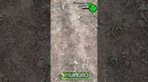 ОДНО СРЕДСТВО ДЛЯ ВСЕГО: как УСТРАНИТЬ НЕСОВМЕСТИМОСТЬ УДОБРЕНИЙ.