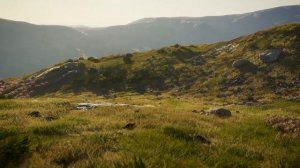 theHunter: Call of the Wild - Official Scotland Hunting Reserve Release Date Trailer