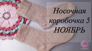 СП "Носочная Коробочка 5" с Еленой Велиной/ Отчетное видео за ноябрь 2025
