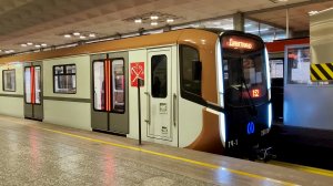 Станция метро Девяткино. Коричневый Балтиец