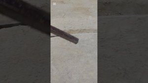 У нас сломалась петля у двери