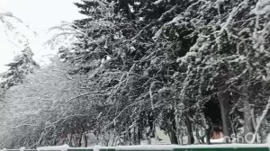 Налог / Заснеженное Кольцово / Малахов / Тефтели