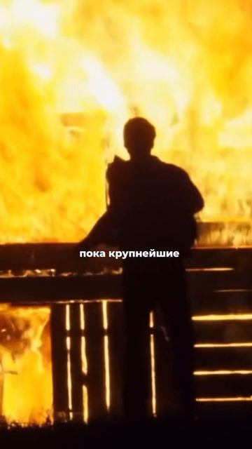 Как японский неудачник заработал 20 млн $