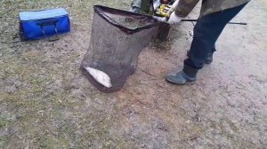 поимка форели