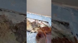 28 ноября 2025