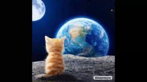 Нейросеть. Как ей можно творить чудеса