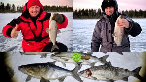 ПОЙМАЙ ЕЁ ЕСЛИ СМОЖЕШЬ!