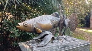 Гамбузия - рыба курортной мечты!