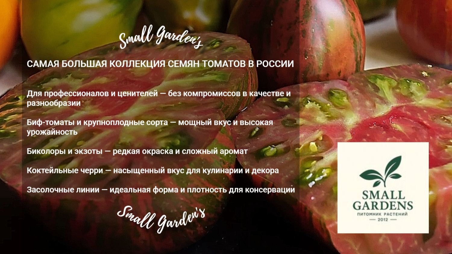 Семена томатов самая большая коллекция в России | Small Garden's