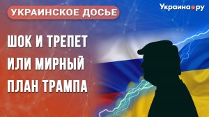 Шок и трепет, или Мирный план Трампа. Конференция из цикла «Украинское досье»