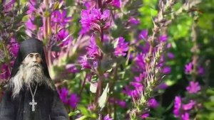 Эти Псалмы Надо читать каждый День они ЗАЩИТЯТ ВАС Истории и Наставления Варсонофия Оптинского [get-