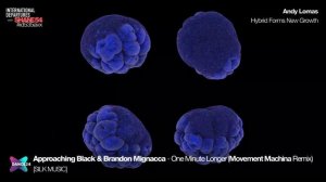 International Departures 535 (Audio Visual Dj Mix Show)