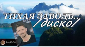 #ТИХАЯ ЗАВОДЬ... /диско/