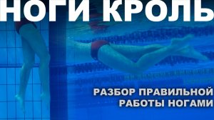 Как работать ногами в кроле | Плавание для взрослых