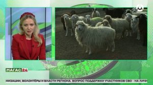 В этом году в Ингушетии пресекли незаконный ввоз более тысячи голов скота