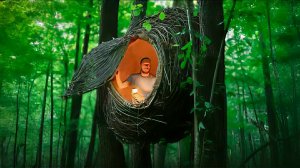 Строю уникальный домик в виде улья из веток и глины. Бушкрафт