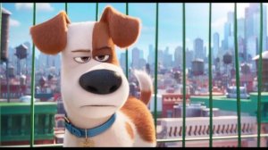 ОЗ 179_Тазова Любовь_Кошка_Звукорежиссер Сергей