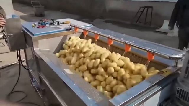 Машина для очистки корнеплодов GB-1000 смотреть онлайн