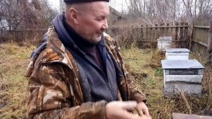 Начало зимовки. Семьи. Нуклеусы.