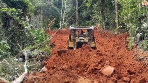 Строительство , расчистка дороги в лесу, следующий обзор