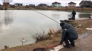 поимка форели на фидер