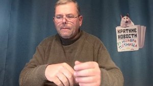 КРАТКИЕ НОВОСТИ 📰 28 НОЯБРЯ
