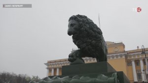 Нейросети помогают следить за порядком в Петербурге