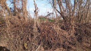 Надо создавать подушку безопасности и радости