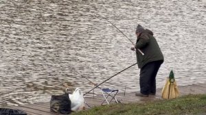 Поимка Основной водоем донка