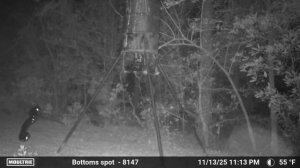 Совершенно Необычный Инопланетянин