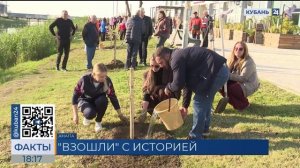 В Анапе высадили кипарисовую аллею