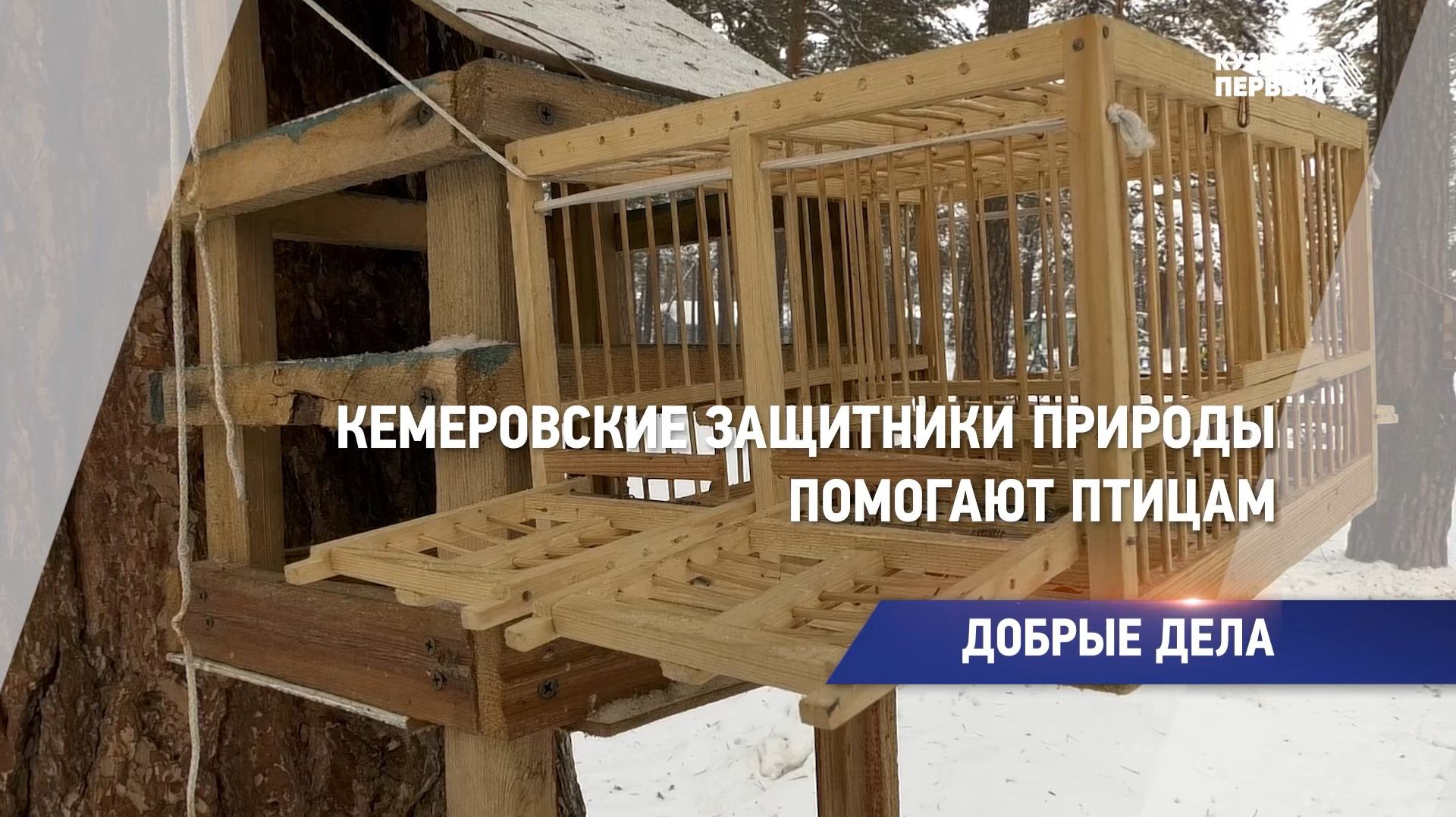 Добрые дела