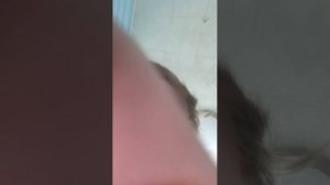 ПУБГ МОБАЙЛ С НАБОРА (МЕГООРУЖИЯ) ДО ФУЛ 6 СОЛО .