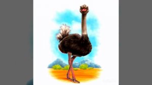 Почему страус летать не умеет. Т. Крюкова. Аудиосказка для детей.