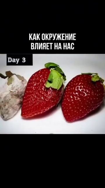 Как влияет на нас окружение смотреть онлайн