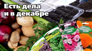 Проверяйте, все ли вы сделали. Декабрь в саду и дома