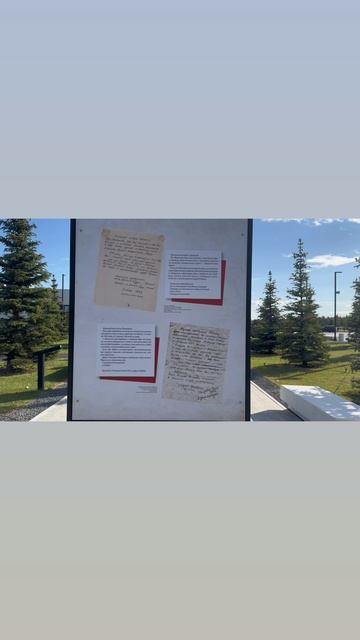 Рекомендую