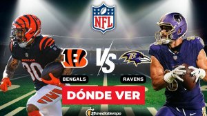 Baltimore Ravens — Cincinnati Bengals 27.11.2025 | NFL LIVE