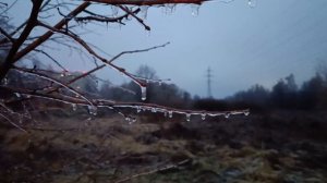 БЛИКИ МАРТА