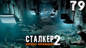 СТРЕЛОК И ШРАМ (79) ► Сталкер 2 Сердце Чернобыля