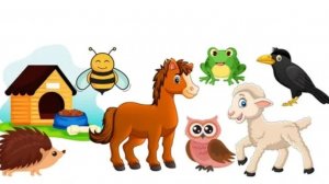 Сборник про животных